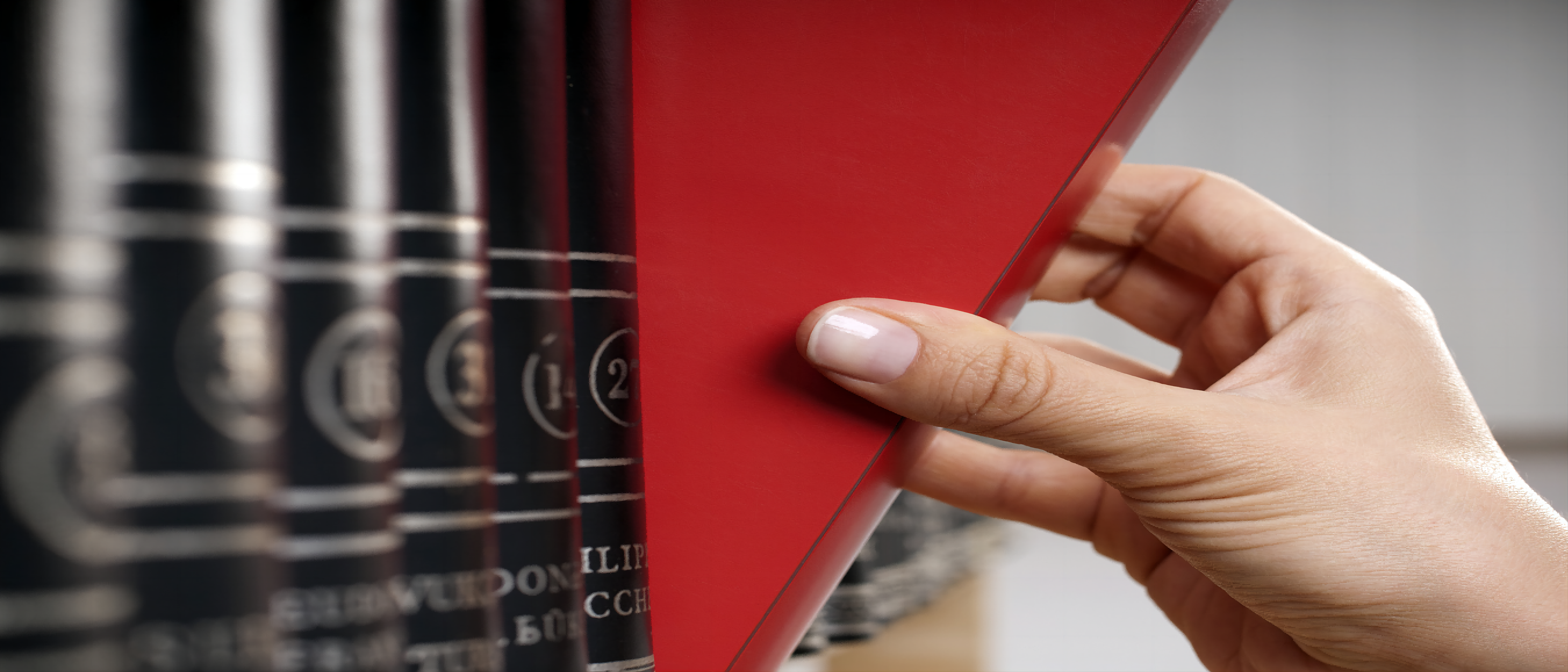 杭州市国际品牌保护蓝皮书